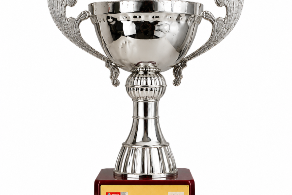 award-3C33BA69C-3399-8E6E-C1DD-FBC890E34A7B.png